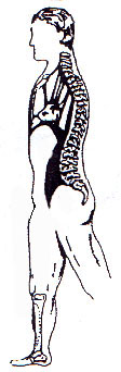 catena muscolare antero-inferiore