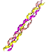 collagene