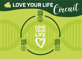 LYL Circuit