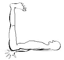 Stretching globale in postura a squadra