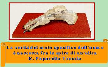 elica podalica