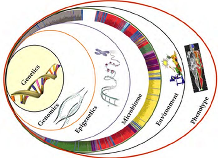 Microbioma