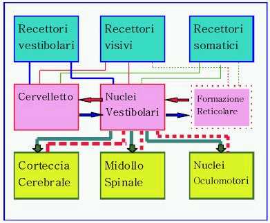 sistema dell'equilibrio